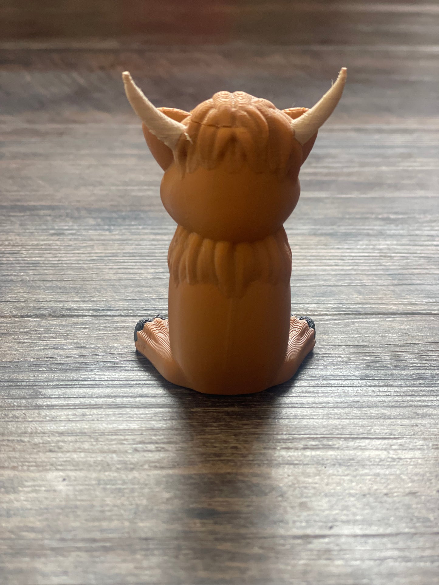 Cute Mini Highland Cow